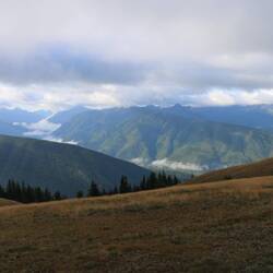 Aussicht vom Hurricane Ridge