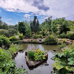 Endlich Mal ein schöner Park: the Regent's Park