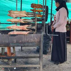 Meerschweinchen am Spieß in Colta