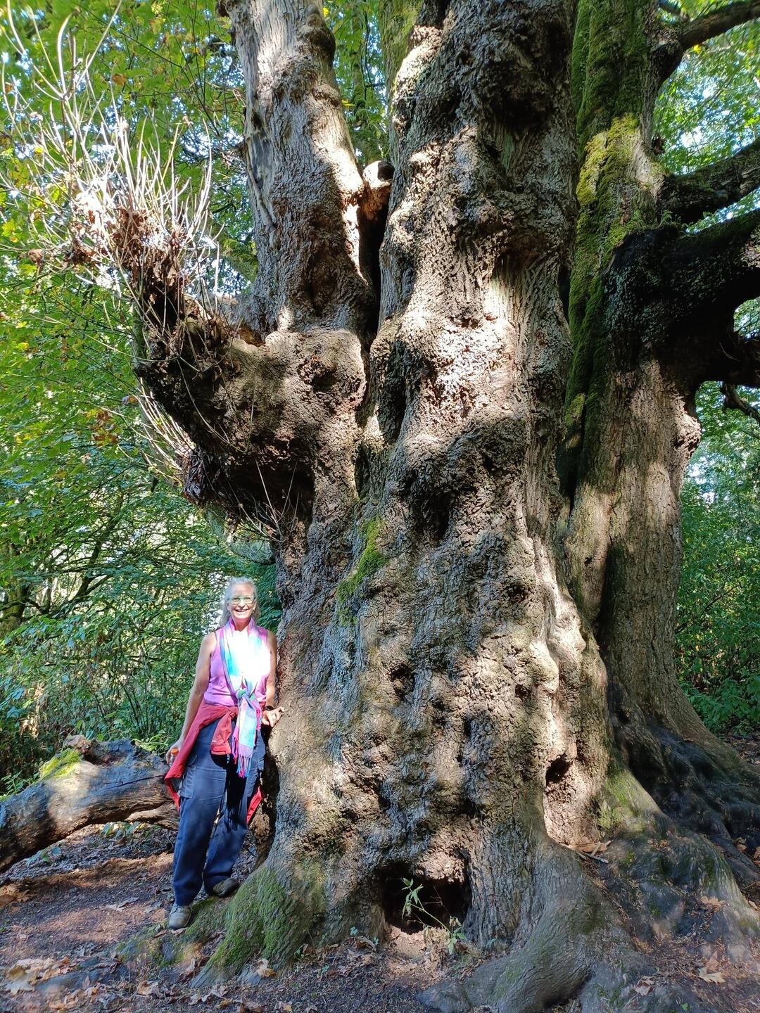 Big trees! Already, on the day of arrival