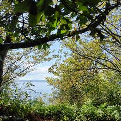 Lovely views, Seattle
