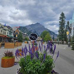 Banff Stadt