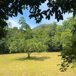 Taman Negara Beobachtungspunkt