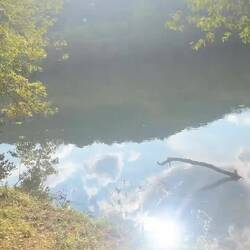 Nur ein Katzensprung bis zum Wasser