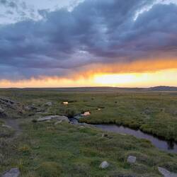 Ohne Bildbearbeitung!