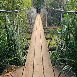 Suspension Bridge