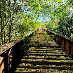 Old Railway Bridge