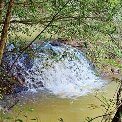 Williams Weir