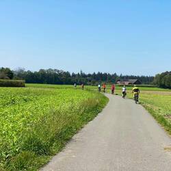 Rund um Salzburg