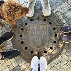 Sewer covers in various European cities