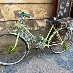 Everyone knows CJ loves bikes!