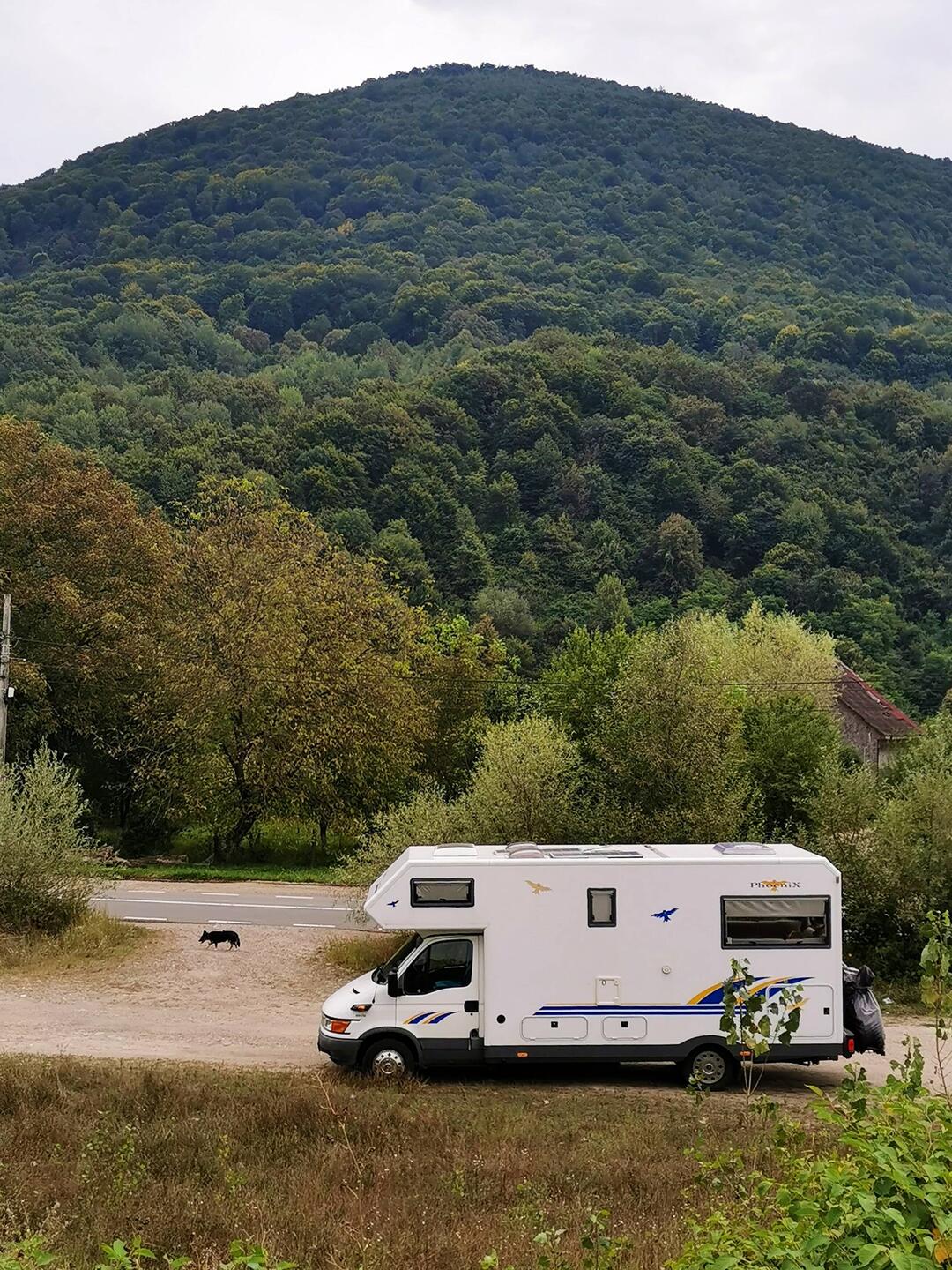 Die Straßenhunde sind übrigens nicht aufdringlich