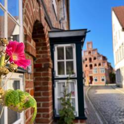 Ist das vielleicht eine Hommage an Schweden? Die Stockrosen..