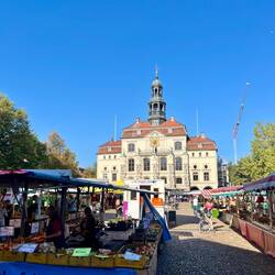 Am heutigen Tag wird am Rathausplatz der Wochenmarkt abgehalten.