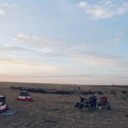 Got surprised by a herd of sheep.