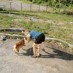 Aber jetzt ist Schluss mit Streicheleinheiten 👋