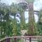Gardens by the Bay