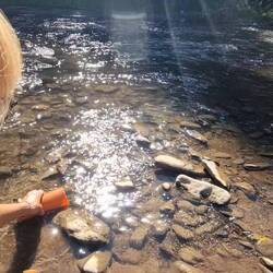 1. Wasser auffüllen