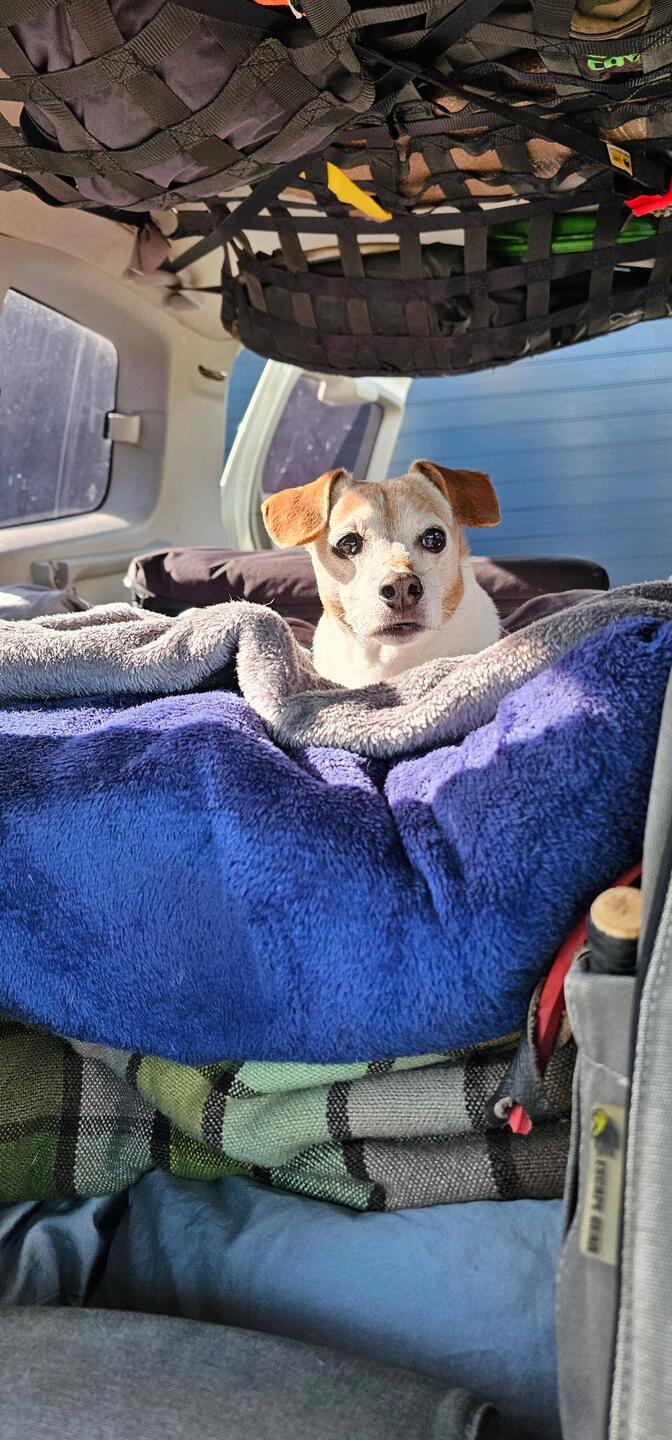 Are we there yet?