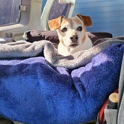 Are we there yet?