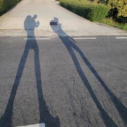 Cool shadows in the am