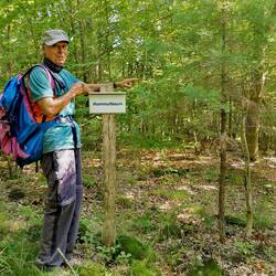 Find the sequoia 😅😅😅!