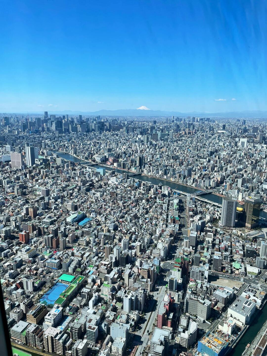 Tokio aus dem Fernsehturm mit dem Mountain Fuji im Hintergrund