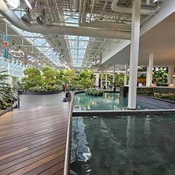 Grösste indoor Garte (im 4. Stock vom Shoppingcenter)
