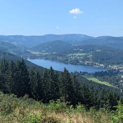 Looking back on my trail from where I started