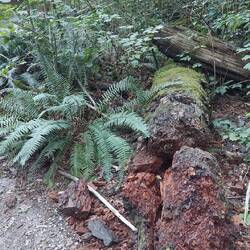 Coquihalla Canyon Provincial Park