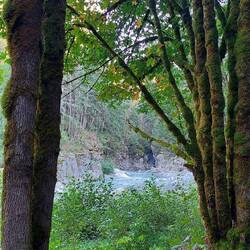 Coquihalla River Canyon