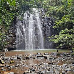 Ellinjaa Falls