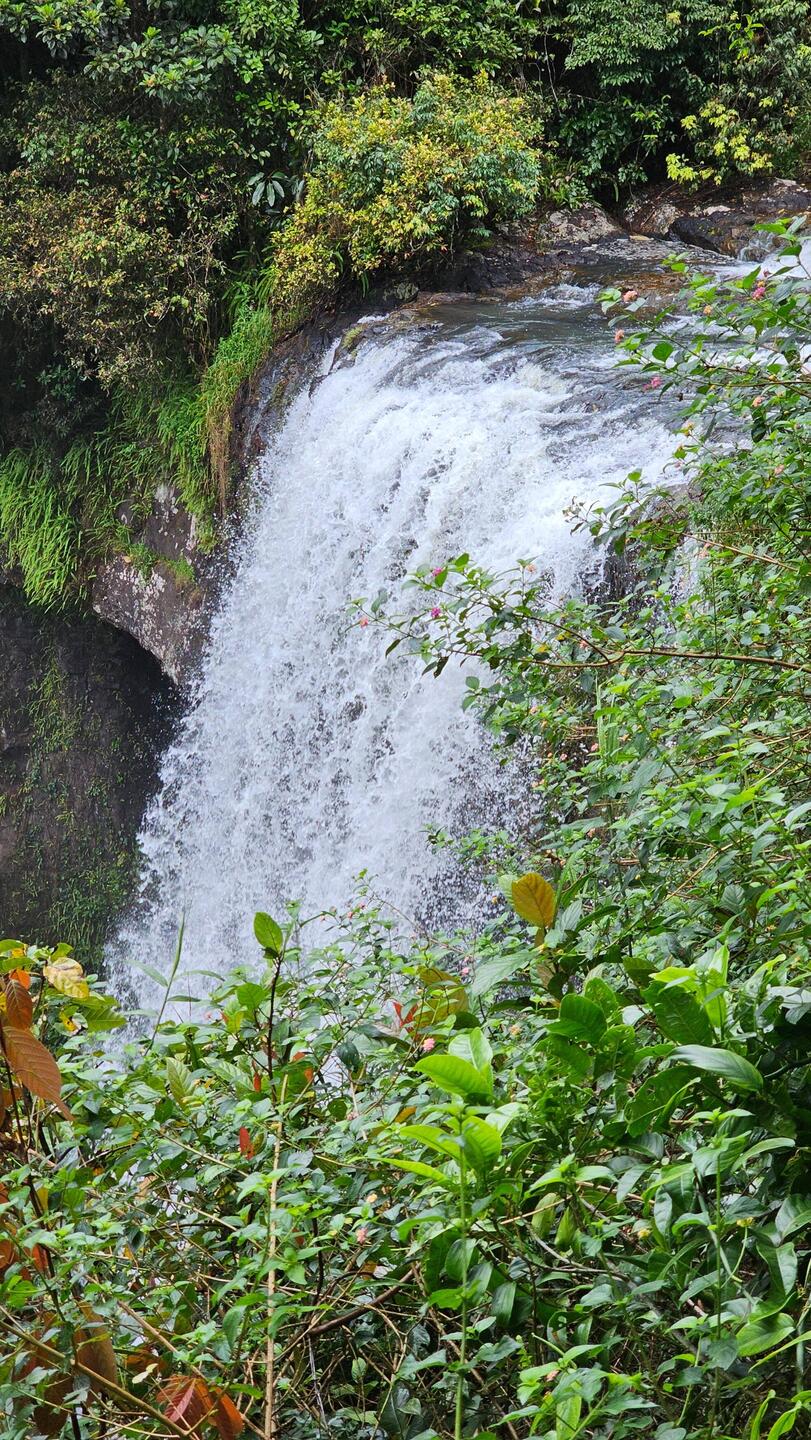 Zillie Falls