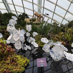 Glass flowers. Easy care.