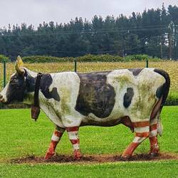 Avec les chaussettes de l'Athletic Bilbao 🤣