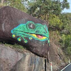 Frog painted on a rock along Gillies Range Road, Gadgarra