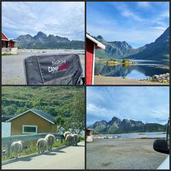 Unser Stellplatz heute und Schafe auf der Straße 😅