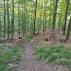 Der steile Aufstieg in Gelnhausen.