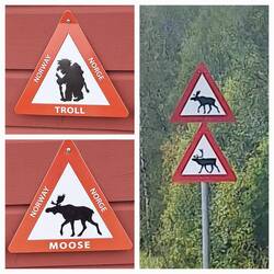 Jetzt wird es ernst und gefährlich 😉