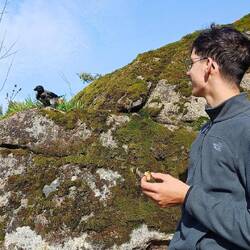 Die Raben hatten auch Hunger