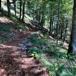 Endlich mal wieder etwas Schatten!