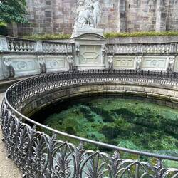 Viele Münzen sind im Wasser 🍀