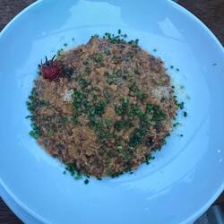 Beef goulash over risotto, amazing!