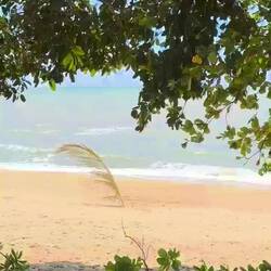Trinity Beach Cairns