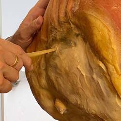 Reifetest mit 40 Jahre altem Pferdeknochen