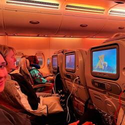 Saluto all Africa con il re leone