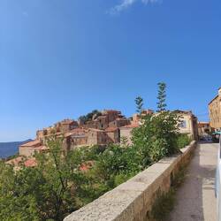 Speloncato aus dem fahrenden Olaf 📸