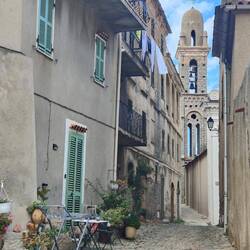 Wer findet die Katze? 😻