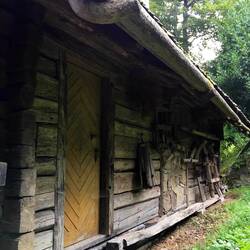 Check out the gutter.... made from the perfect pieces of forest wood 😍