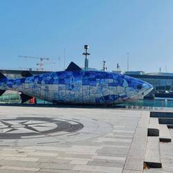 Ein großer Fisch 🐟